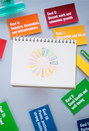 Sustainable Development Goals