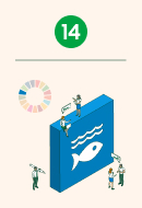 SDG 14