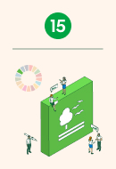 SDG 15